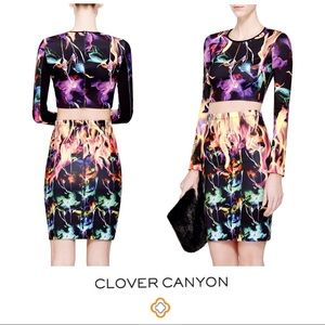 Clover Canyon ‘Flamenco Fire’ Pencil Skirt (S)